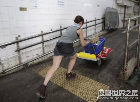 香港最性感女搬运工，明明可以靠颜值偏偏扛起了重担